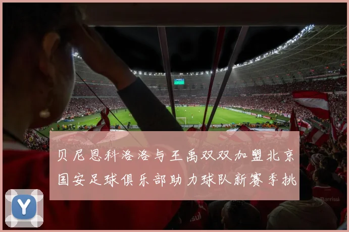 贝尼恩科洛洛与王禹双双加盟北京国安足球俱乐部助力球队新赛季挑战